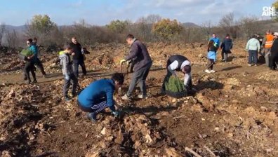 Залесяване в Стара Загора: Малчугани и възрастни възстановяват горите