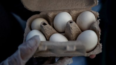 САЩ изтеглят от мрежата милиони яйца заради салмонела
