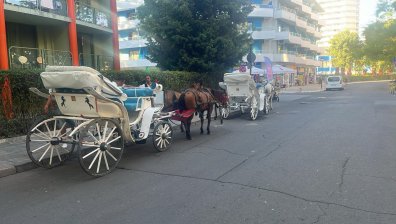 Коне, файтони, изпражнения: Слънчев бряг се е превърнал в обор