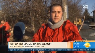 Сурва по време на пандемия - без обикаляне по къщите