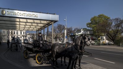 Файтонджии разнасят храна на нуждаещите се възрастни във Виена