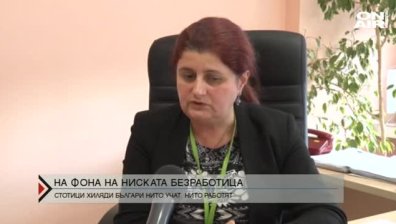 170 хиляди млади българи нито учат, нито работят