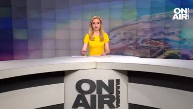 Обедна емисия