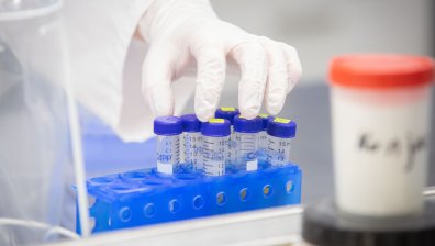 4% са положителните проби за Ковид-19 за денонощието