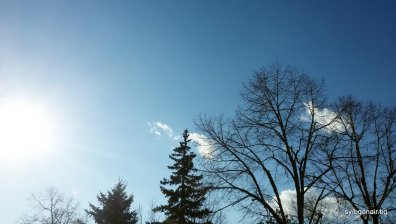 Как ще се отрази глобалното затопляне върху еволюцията на човека?