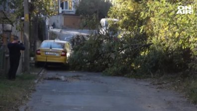 Бурният вятър предизвика авария в Кърджалийско - над 40 села са без ток