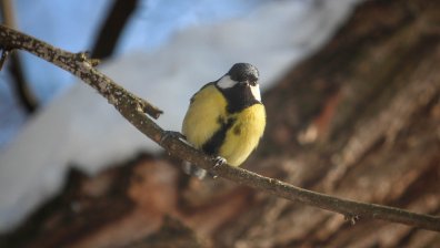 Облаци и дъжд покриват страната, в планините трупа нова снежна покривка