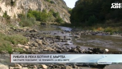 Тонове тиня задръстиха река Ботуня и убиха всичката риба