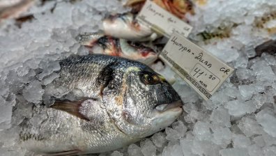 Притеснително: 1/4 от рибата на пазара съдържа xиcтaмин