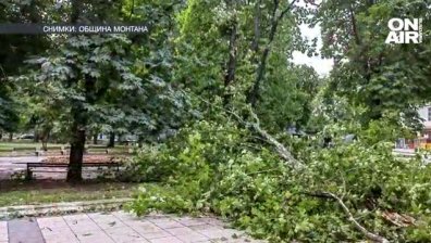 Ето какво остави след себе си бурята, връхлетяла със страшна сила Северозапада