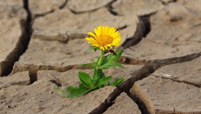 Следващите 5 години ще са най-горещите в историята