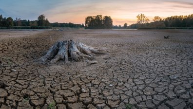 Риск от катастрофална суша: Френски земеделци отправят молитва за дъжд