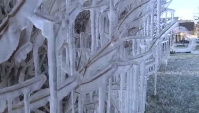 Неочаквано красиво: Русе се събуди като в сюжет от "Замръзналото кралство"