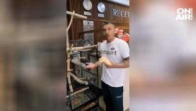 Култов! Божинов предложи банан на папагал, птицата му отказа (+ВИДЕО)
