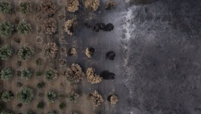 Висок риск от горски пожари в Гърция