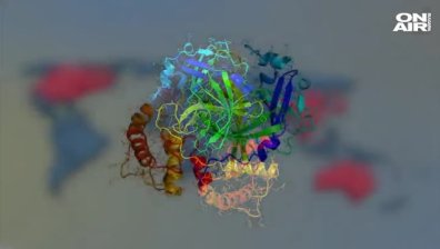 Откритата молекула срещу коронавирус пазела здравите лимфоцити от инфекцията