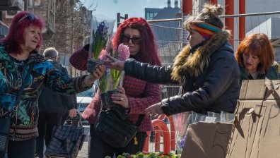 "Тренд": За 62% от българите 8 март е празник за всички жени