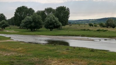 Реките в Европа пресъхват, Рейн и Дунав - като пустиня, климатолозите са притеснени