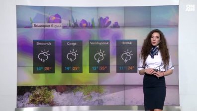 Централна прогноза