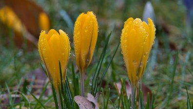 Дъжд и гръмотевици в някои части на България - ето къде ще вали сняг