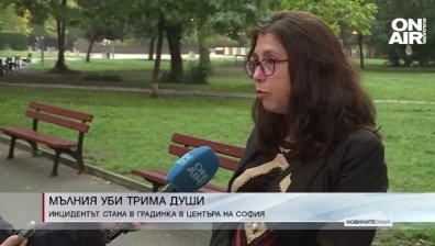 Експерт: Мълниите избират пътя с най-ниско съпротивление