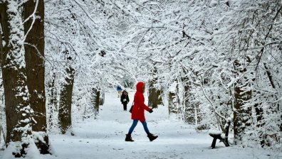 Времето днес: Валежи от сняг и предупреждение за планинарите
