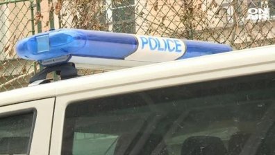 Полицията откри и унищожи 238 кг. марихуана