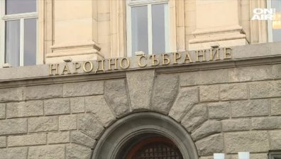 От Столичната община обявиха: Защитаваме зелените площи!