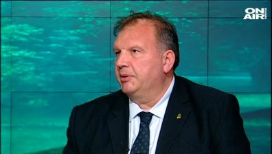 Колко гора е унищожена в последните години