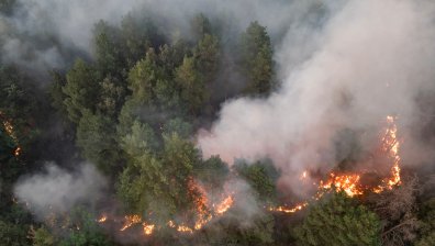 Мащабен горски пожар продължава да бушува в Сърбия (СНИМКИ)
