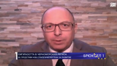 Йордан Божилов: "Черноморският сенчест флот" създава сериозни екологични проблеми