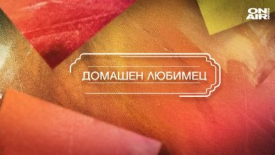 "Фамилно" разказва какво е да имаш енот за домашен любимец