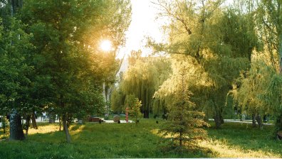 Слънчева неделя с температури до 31 градуса