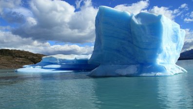 Вируси в Арктика се оказаха 30 пъти по-големи от нормалните