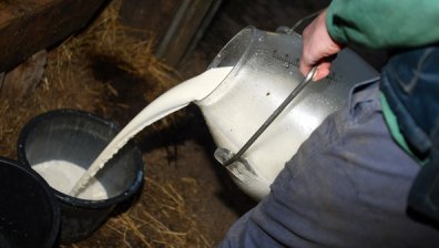 В сиренето вече ще има само и единствено мляко
