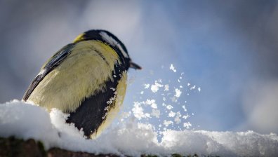 Посрещаме дъждовен петък, а на места ще вали и сняг