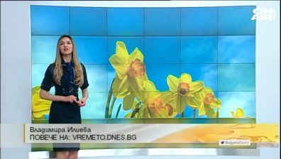 Централна прогноза