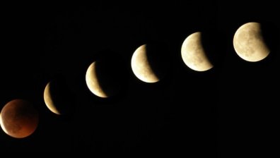 Лунната диета - най-търсената в Google през 2021 г.