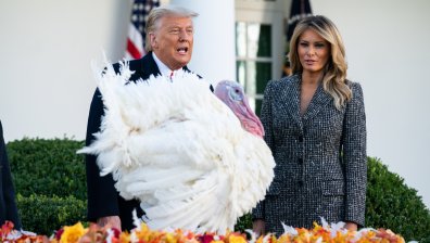 За последен път: Тръмп помилва пуйка за Деня на признателността (+ВИДЕО)