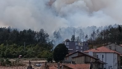 Голям пожар във Варна, лумна борова гора, огънят наближава къщи