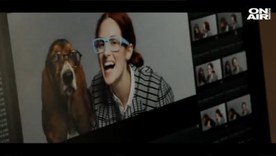 Box Office: Pet бизнес