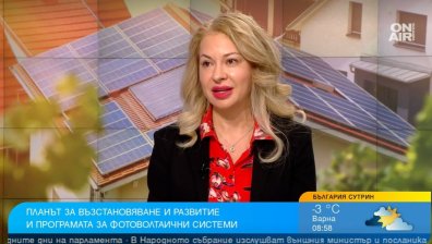 В помощ на бизнеса: Отварят процедура за ВЕИ-та, одобряват ни до 2-3 месеца