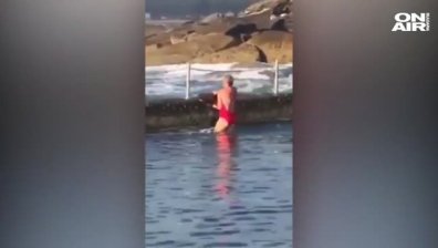 Смело: Жена спаси заклещила се акула край Сидни