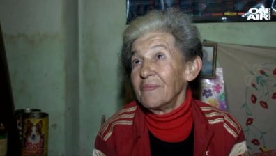 Баба Галя от село Блатино дели пенсията си от 176 лв. с 13 кучета и 6 котки