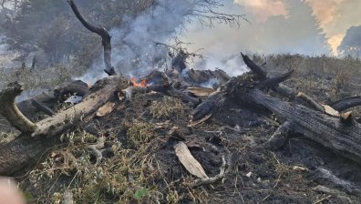 Продължава борбата с пожара в парк "Рила", пращат "Кугар"