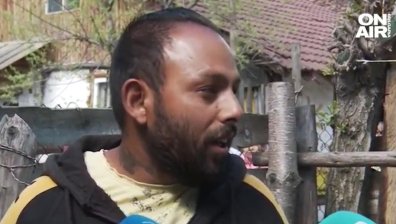 Боеве с кучета скандализираха интернет - осиновяват ги, после ги пускат за "стръв"