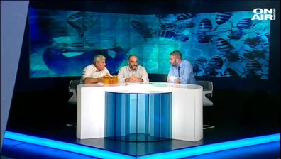 Пчелите в България умират