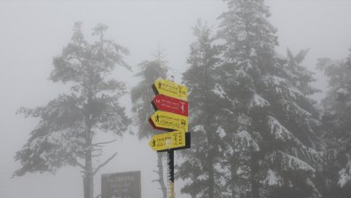 Откриха изчезналия на Витоша мъж