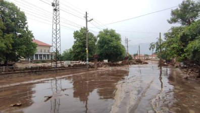 Тонове кал, тиня и дървета в Карловско. Хората със сълзи на очи: Нямаме нищо