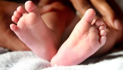 Зов за помощ! 7-месечната Марти се нуждае от спешна трансплантация
